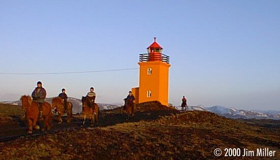 Small Lighthouse and Horses 1998 Jim Miller - Olympus D-220L