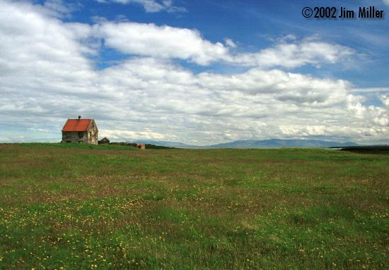 Flowers in the Field/Abanadoned Farm Building 2002 Jim Miller - Canon Elan 7e, EF 28mm f2.8, Kodak Gold 100