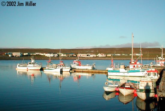 rshfn Harbor at Midnight 2002 Jim Miller - Olympus D-370