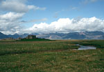 Spring Landscape