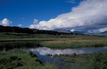 ingvellir Reflections