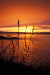 Winter Sunset